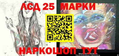 гашик Донской