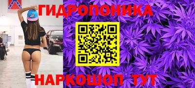 гашик Донской