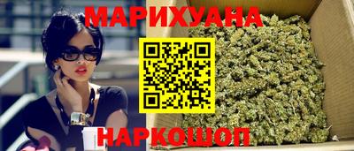 гашик Донской